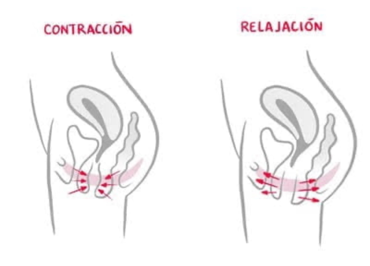 Bolas de kegel